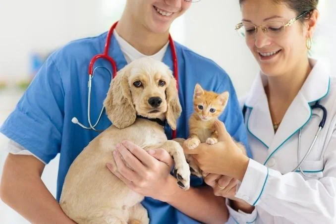 Puppy and kitten with veterinary professionals